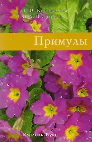 Купить Уход за суккулентами — Фото №1
