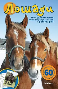 Купить Лошади — Фото №1