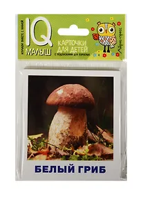 Купить Умный малыш. Грибное лукошко. Набор карточек для детей. — Фото №1