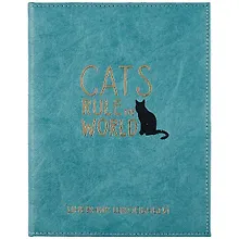 Купить Дневник школьный Феникс+, "Кот" — Фото №1