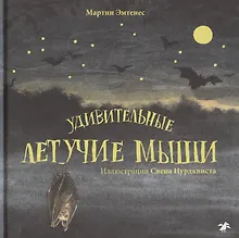Купить Удивительные летучие мыши — Фото №1