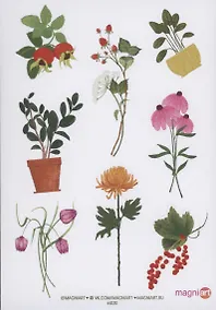 Купить Стикерпак "Ботаника 1" — Фото №1