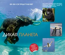 Купить Дикая планета — Фото №1