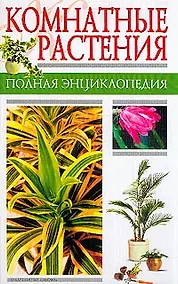 Купить Комнатные растения — Фото №1