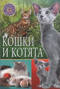 Купить Кошки и котята — Фото №1