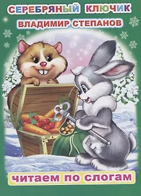 Купить Серебряный ключик — Фото №1