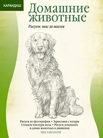 Купить Домашние животные — Фото №1