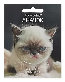 Купить Значок Сонный кот (фотопринт) (металл) (56мм) (ЗН2025-078) Bookvalno — Фото №1