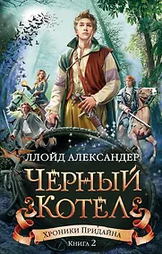 Купить Хроники Придайна. Книга 2. Чёрный котёл — Фото №1
