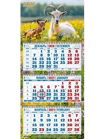 Купить Календарь квартальный 2027г 310*680 "Год Козы. Вид 5" настенный, трёхблочный, спираль — Фото №1