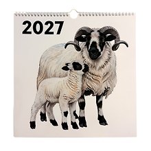 Купить Календарь 2027г 320*320 "Символ года. Атлас блогородных сословий" настенный, на спирали — Фото №1