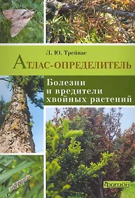 Купить Болезни и вредители хвойных растений: атлас-определитель. — Фото №1