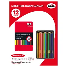 Купить Карандаши цветные 12 цветов, квадратные, заточенные., в металлическом пенале, Гамма — Фото №1