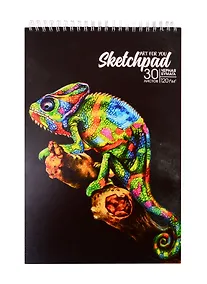 Купить Скетчбук А4 30л Хамелеон черный офсет, 120 г/м2, карт.обл., гребень — Фото №1