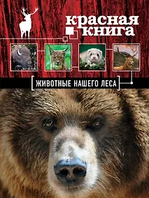 Купить Красная книга. Животые нашего леса — Фото №1