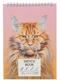 Купить Скетчбук А5 40л "Мейн-кун" белый офсет, 140г/м2, евроспираль — Фото №1