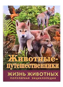 Купить Животные-путешественники — Фото №1