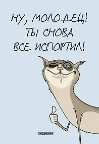 Купить Ежедневник недат. А5 72л "Ты снова все испортил!" — Фото №1