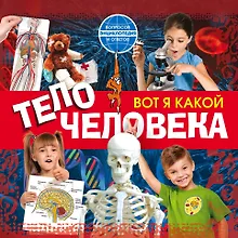 Купить Вот я какой. Тело человека — Фото №1