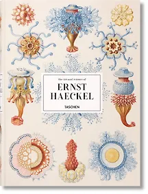 Купить The Art and Science of Ernst Haeckel — Фото №1