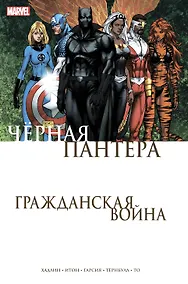 Купить Гражданская война. Чёрная Пантера — Фото №1
