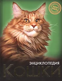 Купить Кошки — Фото №1