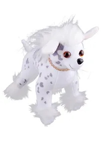 Купить Китайская хохлатая — Фото №1