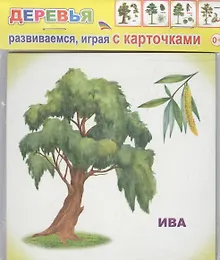 Купить Обучающие карточки. Деревья — Фото №1