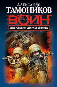 Купить Диверсионно-штурмовой отряд — Фото №1