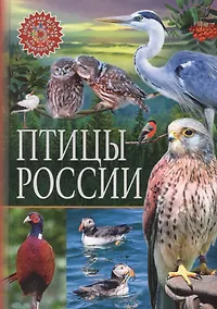 Купить Птицы России. Популярная детская энциклопедия — Фото №1
