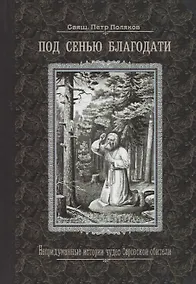 Купить Под сенью благодати. Непридуманные истории чудес Саровской обители — Фото №1