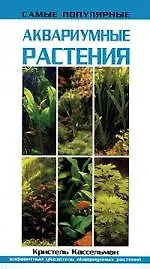 Купить Самые популярные аквариумные рыбки — Фото №1