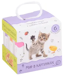 Купить Шоубокс "Мир в картинках" Комплект из 6 книг — Фото №1