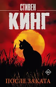 Купить После заката — Фото №1