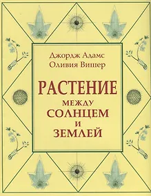 Купить Растение между солнцем и землей — Фото №1