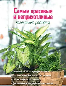 Купить Самые красивые и неприхотливые комнатные растения — Фото №1