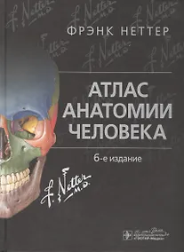 Купить Атлас анатомии человека. Неттер. 6-е изд. — Фото №1