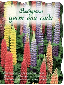 Купить Выбираем цвет для сада — Фото №1