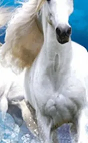 Купить Закладка 3D 68 (Мир открытий) — Фото №1