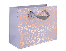 Купить Пакет А5 18*23*10 "Леопард" жен., бум.мат.ламинат — Фото №1