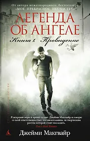 Купить Легенда об ангеле. Книга 1. Провидение — Фото №1