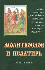 Купить Молитвослов и Псалтирь крупный шрифт. — Фото №1