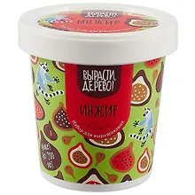 Купить Набор для выращивания Инжир (zk-080) — Фото №1