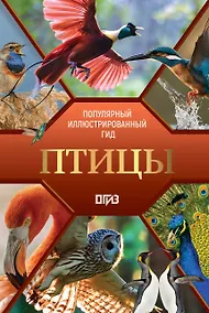 Купить Птицы. Иллюстрированный гид — Фото №1
