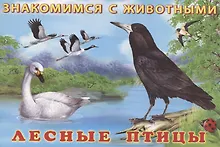 Купить Лесные птицы — Фото №1