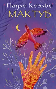 Купить Мактуб — Фото №1