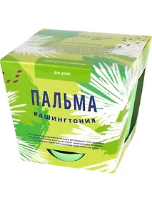 Купить Набор д/выращивания растений Тысяча листьев, Пальма Вашингтония — Фото №1