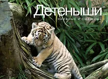 Купить Детеныши. Наивные и смешные — Фото №1