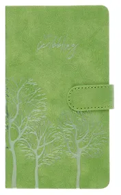 Купить Ежедневник недат. А6+ 120л 110x190 "Тиволи" зеленый, кожзам, тв.переплет, тисн.фольгой, магнит.клапан, офсет, загругл.углы, справ.мат-лшы, ляссе, инд.уп — Фото №1