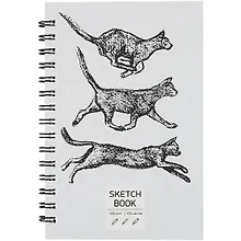 Купить Скетчбук А5 100л "SKETCHBOOK. Кошки", 100г/м2, евроспираль — Фото №1